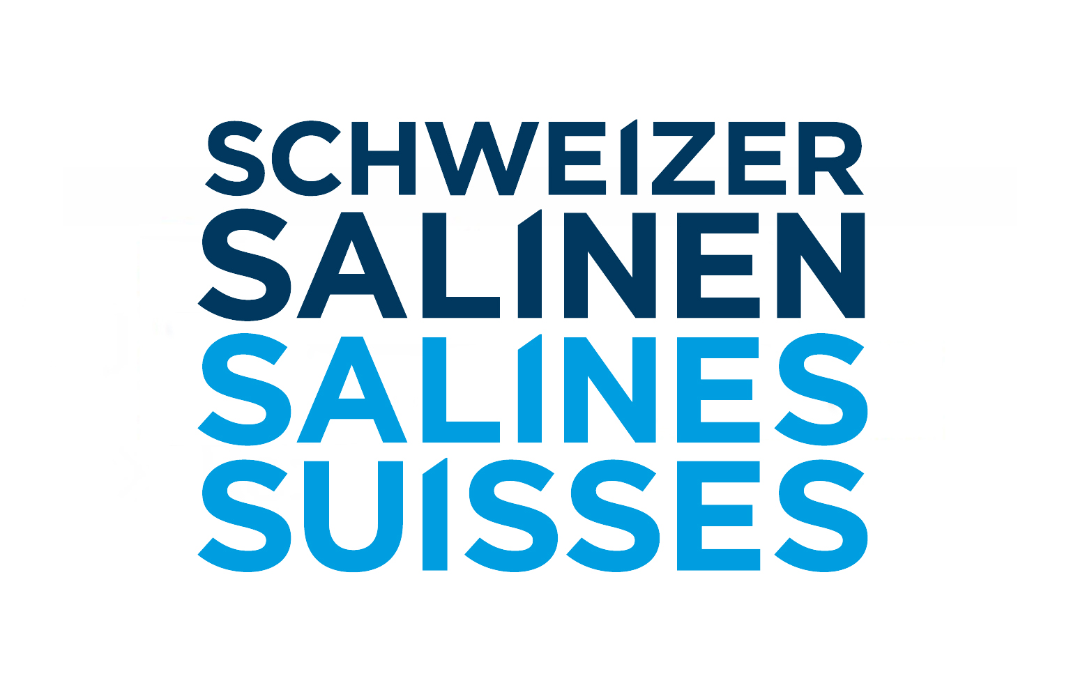 salinen logo 