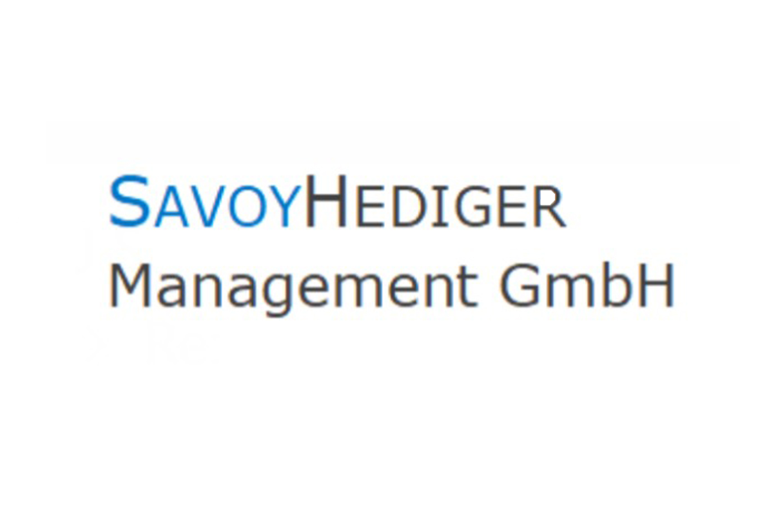 Sayvoy Hediger Logo