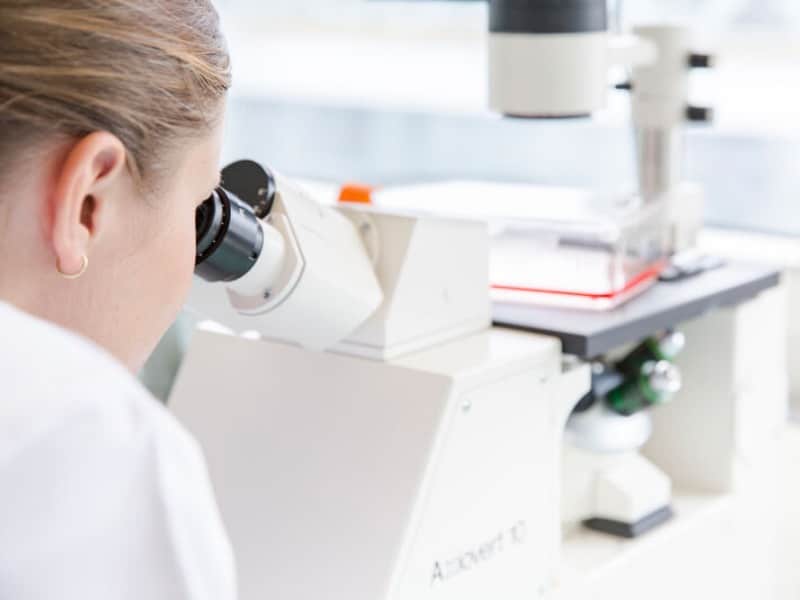 Palto Therapeutics erhält 150’000 Franken von Venture Kick